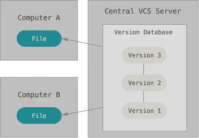 Figure 2. Centralized version control