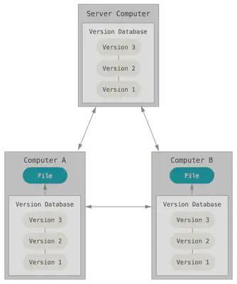 Figure 3. Distributed version control