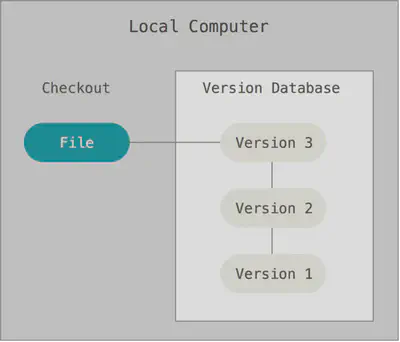 Figure 1. Local version control